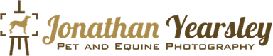 Wall Preview logo